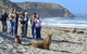Full Day Seal Bay Experience Departing From Kangaroo Island - thumb 0