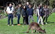 Full Day Seal Bay Experience Departing From Kangaroo Island - thumb 3