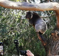 Small-Group Great Ocean Road Day Trip from Melbourne - Accommodation QLD
