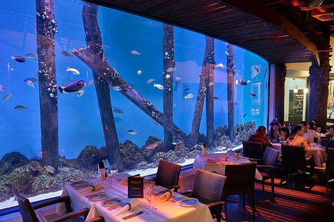 Cairns Aquarium And Small Group City Sightseeing Tour - Accommodation QLD 4
