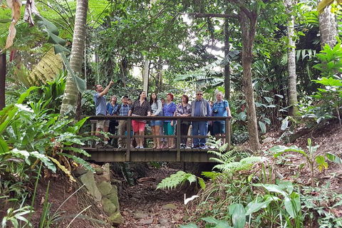 Cairns Shore Excursion: Cairns City Sights & Surrounds Tour - Accommodation QLD 1