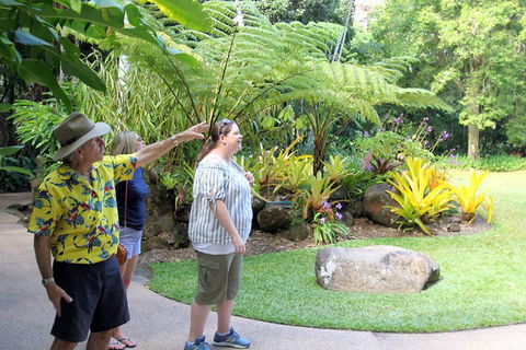 Cairns Shore Excursion: Cairns City Sights & Surrounds Tour - Accommodation QLD 4