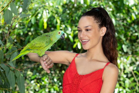 Kuranda Wildlife Experience Three Attraction Pass - Accommodation QLD 1