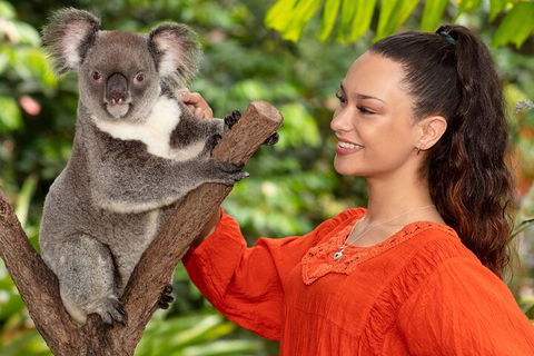 Kuranda Wildlife Experience Three Attraction Pass - Accommodation QLD 4