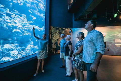 Cairns Aquarium By Twilight With 3-Course Dinner - Accommodation QLD 1