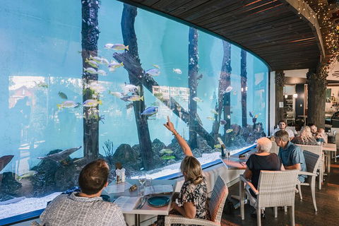 Cairns Aquarium Tour By Twilight With Drink And Appetiser - Accommodation QLD 3