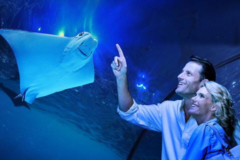 Cairns Aquarium Tour By Twilight With Drink And Appetiser - Accommodation QLD 4