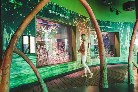 Cairns Aquarium Marine Life Encounter Ticket With 2-Course Lunch - Accommodation QLD 3