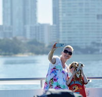 Lunch Buffet Cruise on the Gold Coast - Accommodation QLD