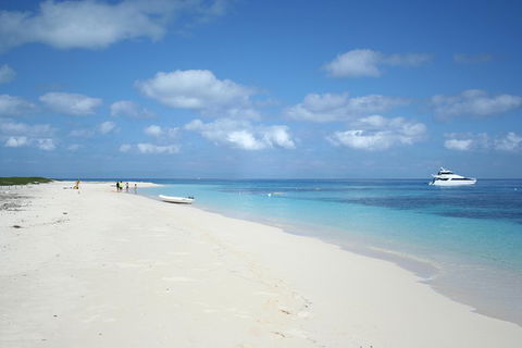 Seastar Luxury Outer Great Barrier Reef Island And Reef Tour From Cairns - Accommodation QLD 3
