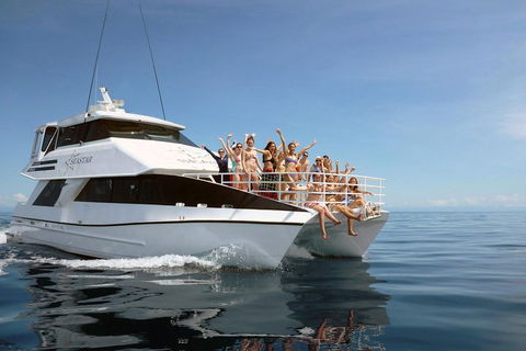 Seastar Luxury Outer Great Barrier Reef Island And Reef Tour From Cairns - Accommodation QLD 4