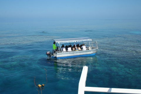 Seastar Luxury Outer Great Barrier Reef Island And Reef Tour From Cairns - Accommodation QLD 5
