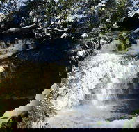 Cradle Mountain Day Tour from Launceston Including Lunch - Accommodation QLD