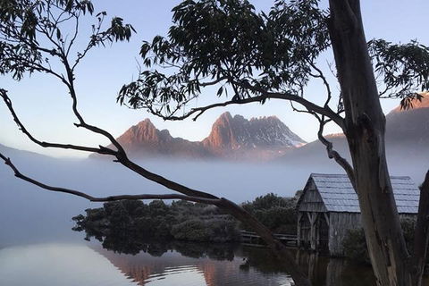 Cradle Mountain Park Explorer Guided Tour - Accommodation QLD 5