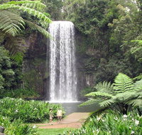 Private Daintree and Cape Tribulation Tour from Port Douglas - Accommodation QLD