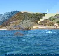 Kayaking with Dolphins in Byron Bay Guided Tour - Accommodation QLD