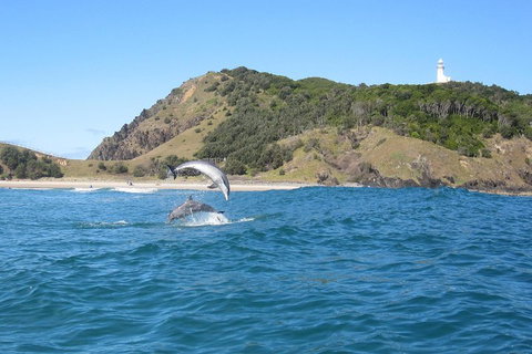 Kayaking With Dolphins In Byron Bay Guided Tour - Accommodation QLD 0