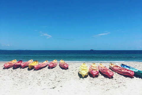 Kayaking With Dolphins In Byron Bay Guided Tour - Accommodation QLD 1