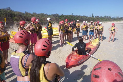 Kayaking With Dolphins In Byron Bay Guided Tour - Accommodation QLD 2
