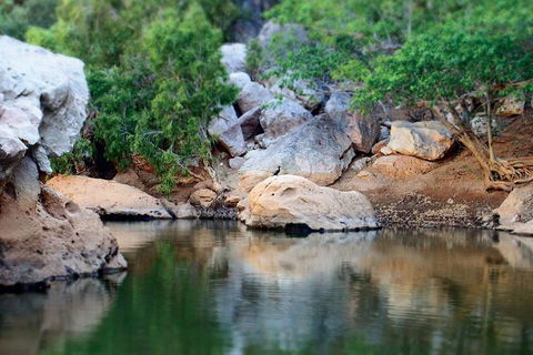 Windjana Gorge And Tunnel Creek 4WD Tour From Broome - Accommodation QLD 5
