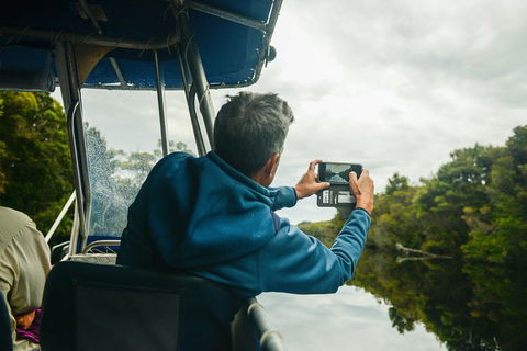 Southwest Tasmania Wilderness Experience: Fly Cruise And Walk Including Lunch - Accommodation QLD 4