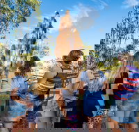 Litchfield National Park Waterfalls and Wildlife Tour from Darwin - Accommodation QLD