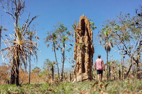 Litchfield National Park Waterfalls And Wildlife Tour From Darwin - Accommodation QLD 4