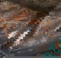 Kakadu National Park Wildlife and Ubirr Rock Art Tour from Darwin City - Accommodation QLD