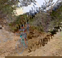 Mount Lofty Descent Bike Tour from Adelaide - Accommodation QLD