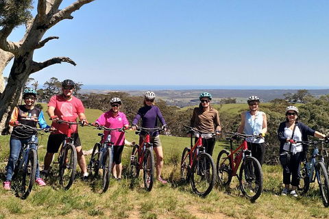 McLaren Vale Wine Tour By Bike - Accommodation QLD 2