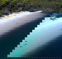 All-Inclusive Fraser Island Day Tour - Accommodation QLD