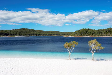 All-Inclusive Fraser Island Day Tour - Accommodation QLD 3
