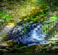 Day Tour in Mt. Field Mt. Wellington Bonorong Wildlife Sanctuary and Richmond - Accommodation QLD