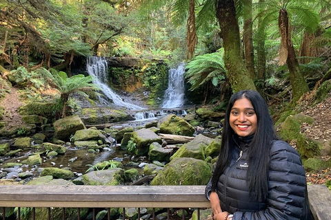 Day Tour In Mt. Field, Mt. Wellington, Bonorong Wildlife Sanctuary And Richmond - Accommodation QLD 5