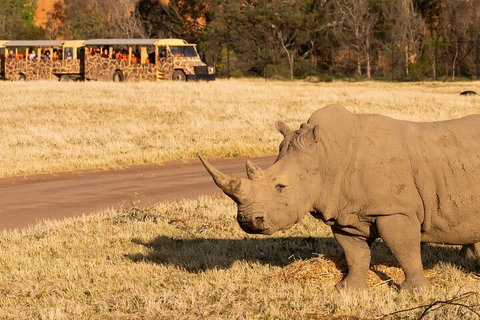 Sunset Safari At Werribee Open Range Zoo - Accommodation QLD 1