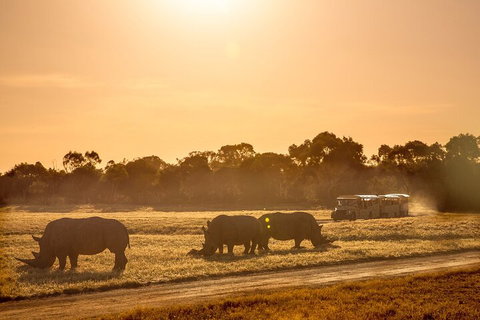 Sunset Safari At Werribee Open Range Zoo - Accommodation QLD 2