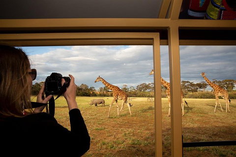 Sunset Safari At Werribee Open Range Zoo - Accommodation QLD 4