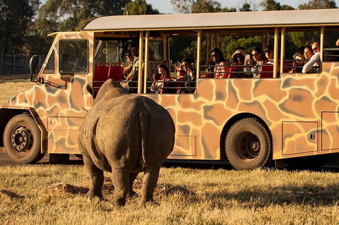 Sunset Safari At Werribee Open Range Zoo - Accommodation QLD 5