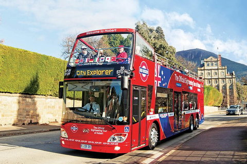 Hobart Hop-On Hop-Off Bus & Kunanyi/Mt Wellington Tour - Accommodation QLD 4