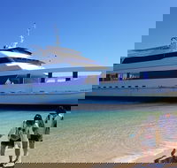 Moreton Island Day Trip Kayak Snorkel  Sandboard frm Brisbane or Gold Coast - Accommodation QLD