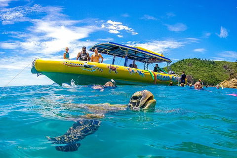 Great Barrier Reef Scenic Flight And Ocean Rafting Whitehaven Beach Day Trip - Accommodation QLD 1