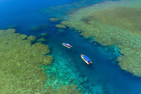 Great Barrier Reef Scenic Flight And Ocean Rafting Whitehaven Beach Day Trip - Accommodation QLD 4