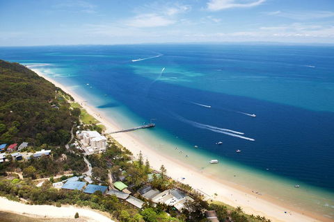 Tangalooma Island Resort Whale Watching Day Cruise With Dolphin Feeding - Accommodation QLD 2