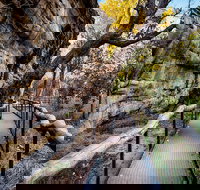 Kakadu National Park Cultural Experience - Accommodation QLD