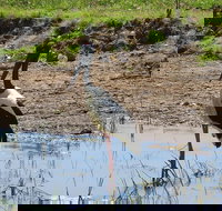 Darwin to Kakadu Day Trip by Air Including Yellow Water Cruise - Accommodation QLD