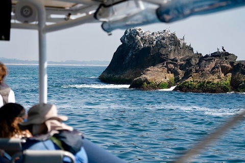 Julian Rocks Byron Bay Cruise - Accommodation QLD 2