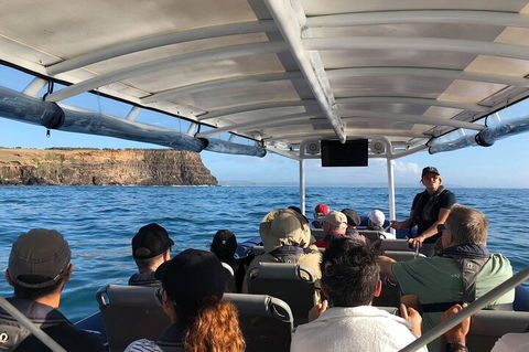 Julian Rocks Byron Bay Cruise - Accommodation QLD 4