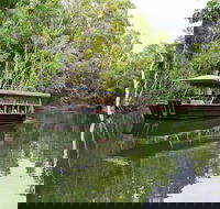 Hartley's Crocodile Adventures Breakfast with the Koalas - Accommodation QLD