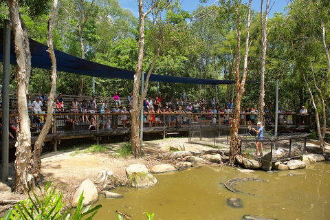 Hartley's Crocodile Adventures Breakfast With The Koalas - Accommodation QLD 1