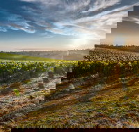 Perth to Margaret River Wine Tour - 2 Day Premium Boutique Wine Tour Experience - Accommodation QLD